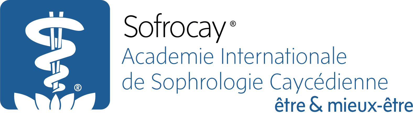 Logo Sofrocay